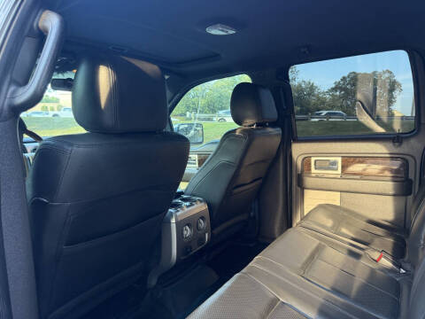 2013 Ford F-150 Platinum
