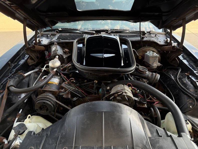 1977 Pontiac Trans Am