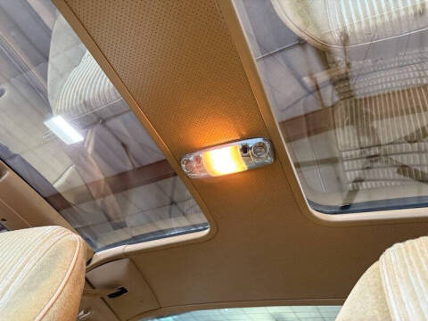 1981 Pontiac Firebird Trans Am