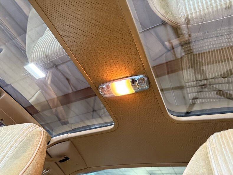 1981 Pontiac Firebird Trans Am