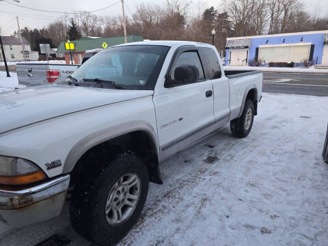 1999 Dodge Dakota for sale at Maximum Auto Group II INC in Cortland OH