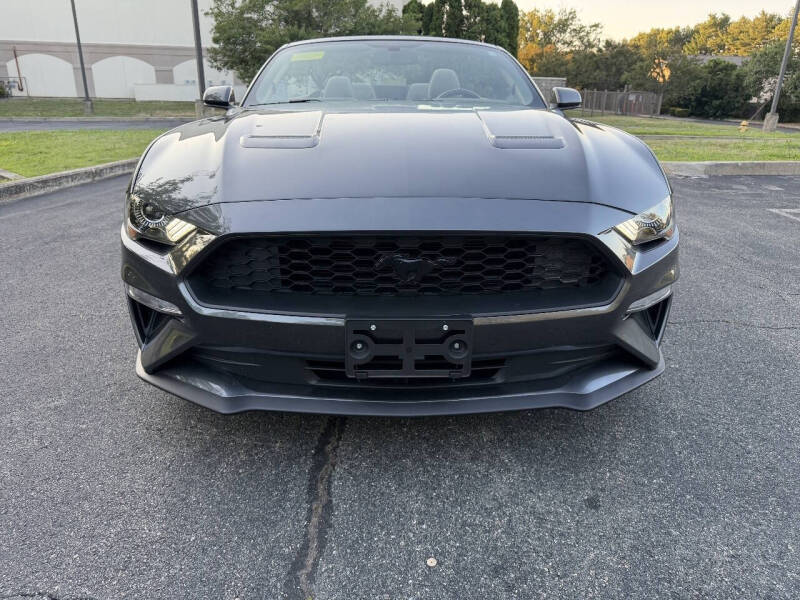 2019 Ford Mustang EcoBoost