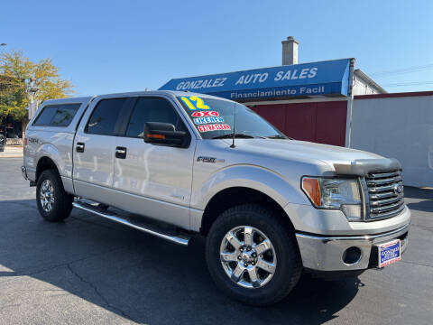 2012 Ford F-150 for sale at Gonzalez Auto Sales in Joliet IL