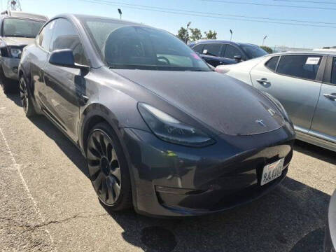 2023 Tesla Model Y