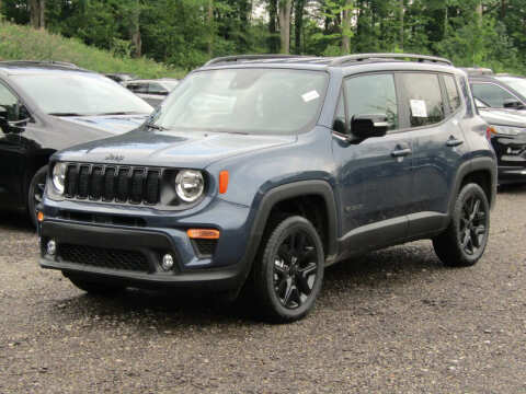 2023 Jeep Renegade for sale at Brunswick Auto Mart in Brunswick OH