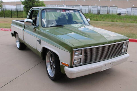 1981 Chevrolet C/K 10 Series