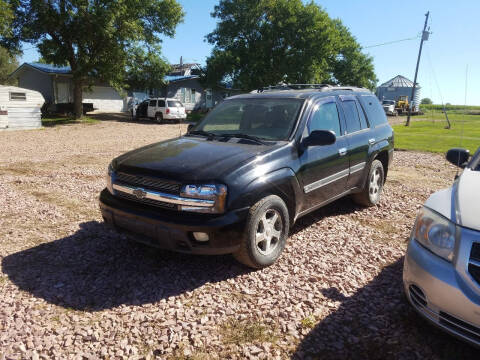 2002 Chevrolet TrailBlazer for sale at B&M Auto Sales and Service LLP in Marion SD