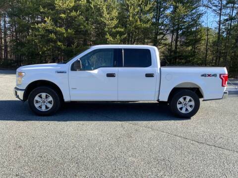 2017 Ford F-150 for sale at Truck Sales by Mountain Island Motors in Charlotte NC