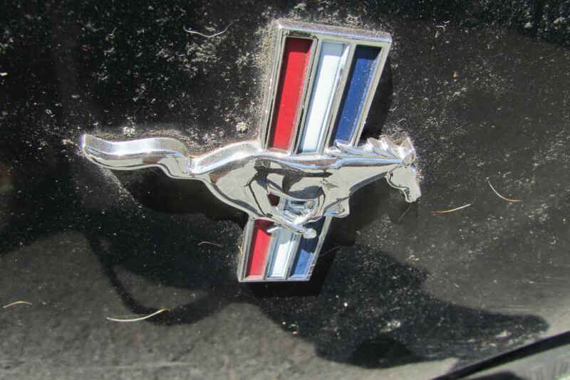 2000 Ford Mustang