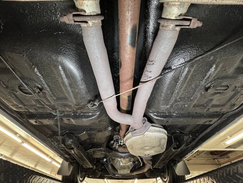 1981 Pontiac Firebird Trans Am