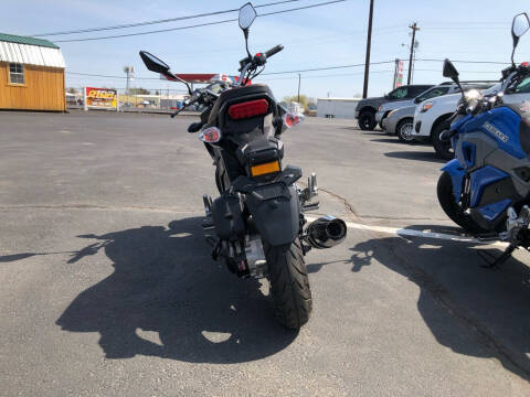 2022 DAIX ICE BEAR MINI MAX 50cc