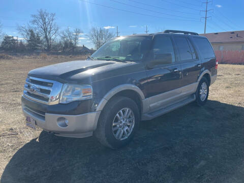 2009 Ford Expedition for sale at Senator Auto Sales in Wayne MI