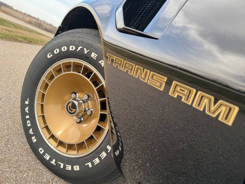 1981 Pontiac Firebird Trans Am