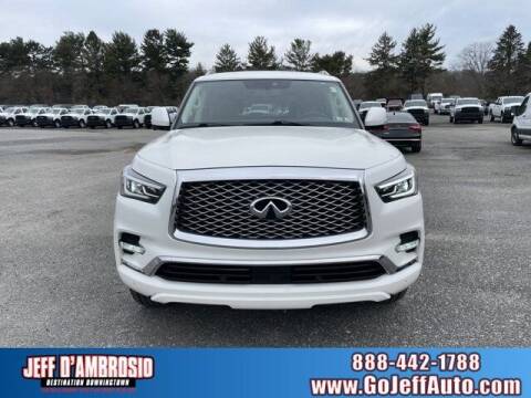 2019 Infiniti QX80 for sale at Jeff D'Ambrosio Auto Group in Downingtown PA