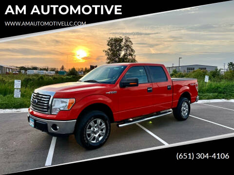 2011 Ford F-150 for sale at AM AUTOMOTIVE in Forest Lake MN