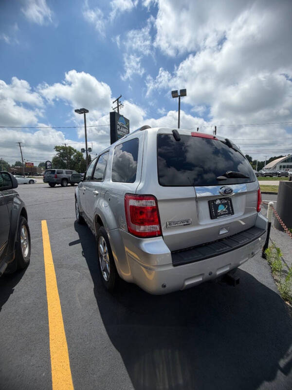 2011 Ford Escape Limited
