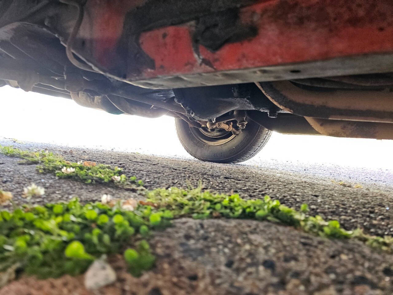 1964 Ford Mustang 242