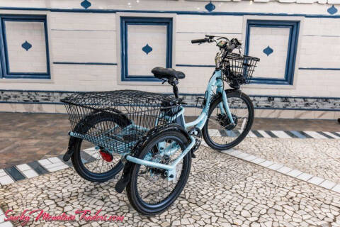 Bintelli E Trike