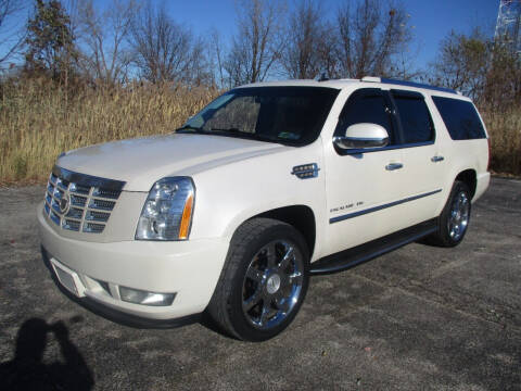 2011 Cadillac Escalade ESV for sale at Action Auto Wholesale - 30521 Euclid Ave. in Willowick OH
