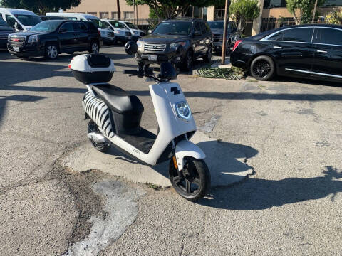 Zebra moped deals