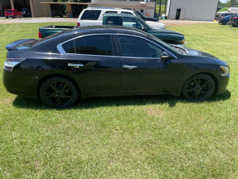 2014 Nissan Maxima for sale at Lakeview Auto Sales LLC in Sycamore GA