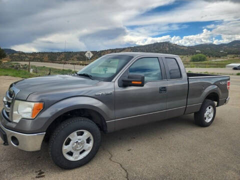 2013 Ford F-150 for sale at Skyway Auto INC in Durango CO