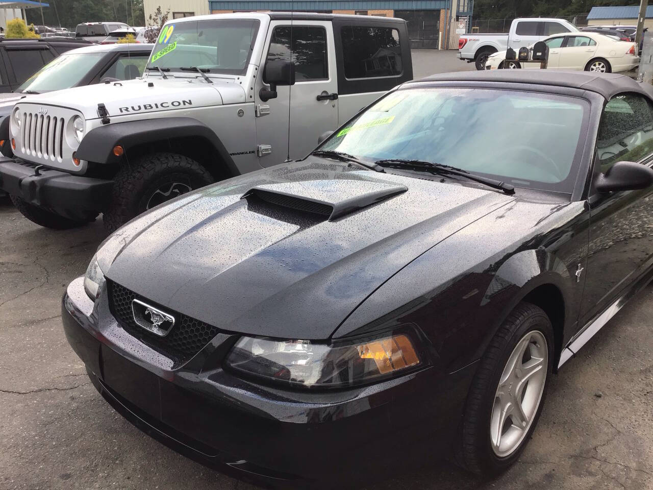 Black 2000 Ford Mustang Base Convertible 2dr Convertible 1