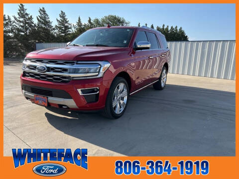 2022 Ford Expedition for sale at Whiteface Ford in Hereford TX