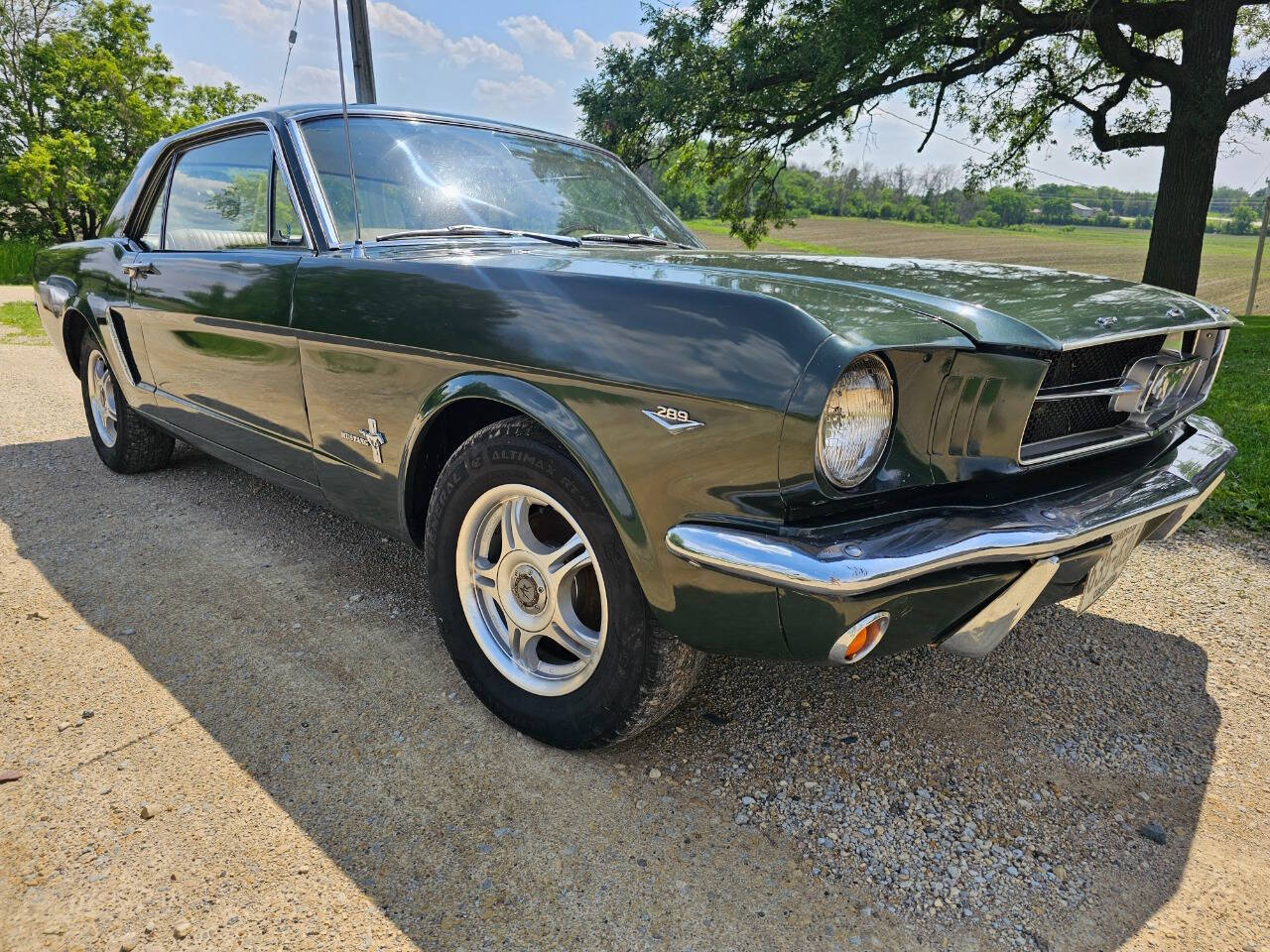1965 Ford Mustang 3