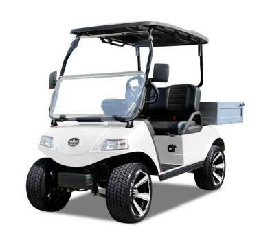 2022 Evolution Turfman 200 for sale at Auto Sound Motors, Inc. - Golf Carts in Brockport NY