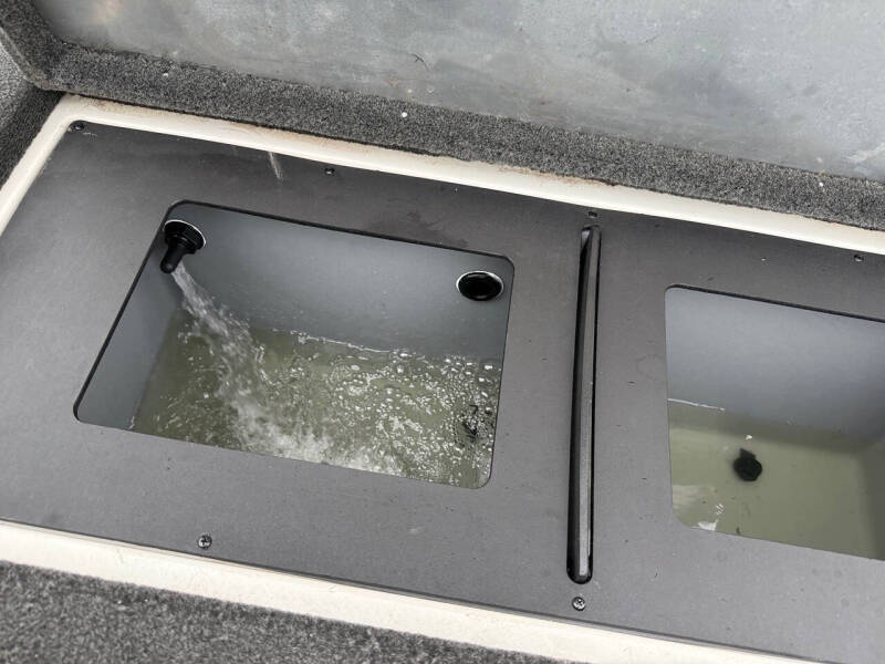 2019 Bayliner Element F18