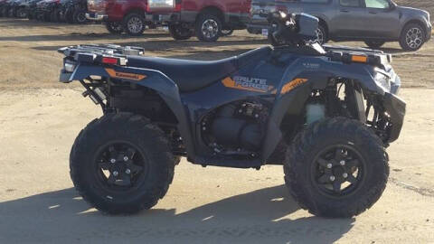 2026 Kawasaki Brute Force™