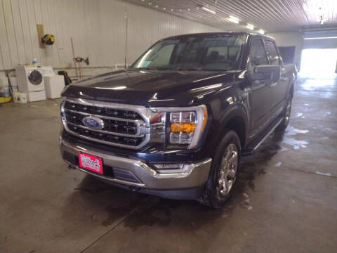 2022 Ford F-150 for sale at Willrodt Ford Inc. in Chamberlain SD