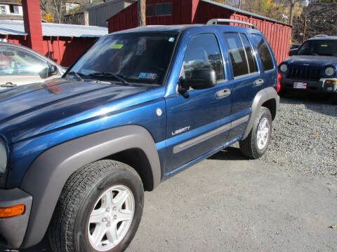 2004 Jeep Liberty for sale at FERNWOOD AUTO SALES in Nicholson PA