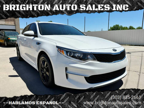 2016 Kia Optima for sale at BRIGHTON AUTO SALES INC in Brighton CO