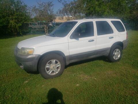 2005 Ford Escape for sale at STAR AUTO SALES OF ST. AUGUSTINE in Saint Augustine FL