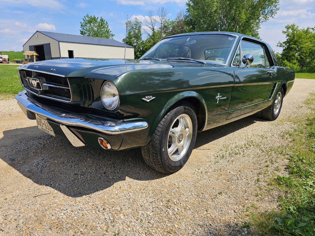 1965 Ford Mustang 1