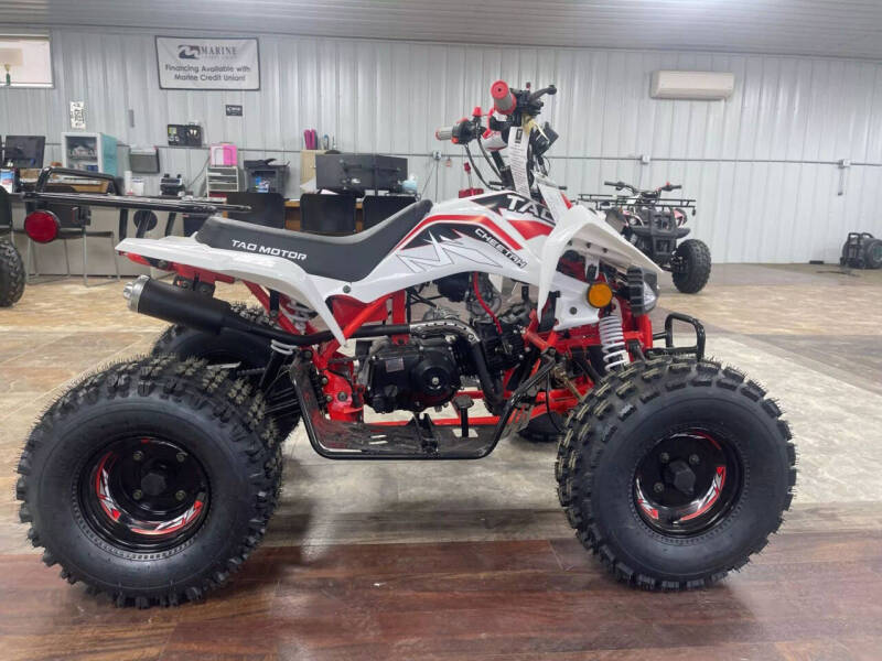 2025 TAO CHEETAH (G125)