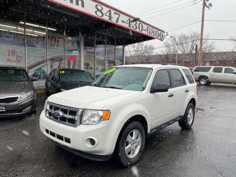 2010 Ford Escape for sale at TOP YIN MOTORS in Mount Prospect IL