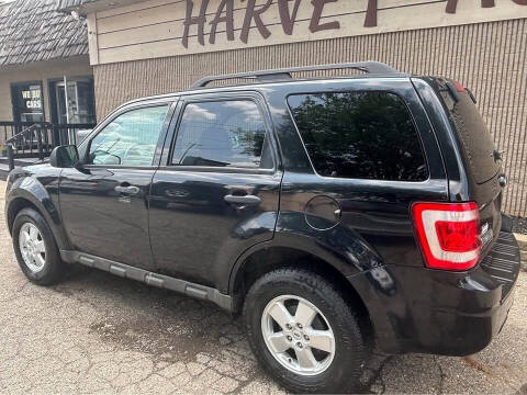 2009 Ford Escape XLT