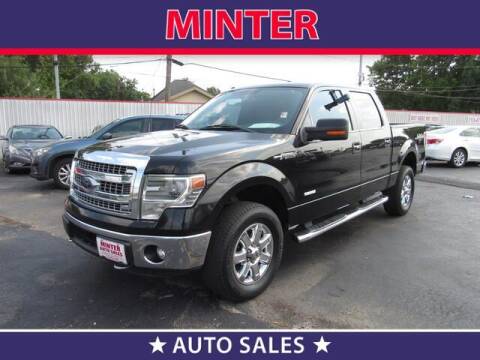 2014 Ford F-150 for sale at Minter Auto Sales in South Houston TX