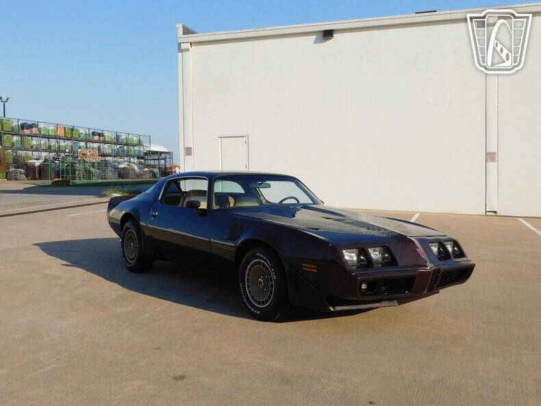 1981 Pontiac Firebird Trans Am