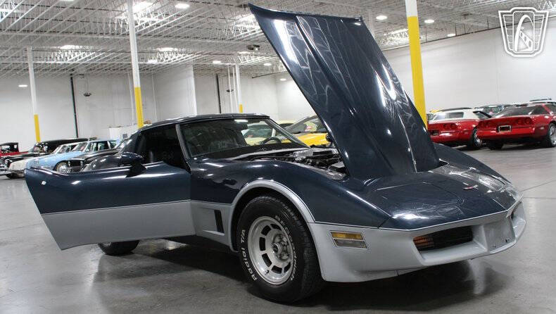 1981 Chevrolet Corvette