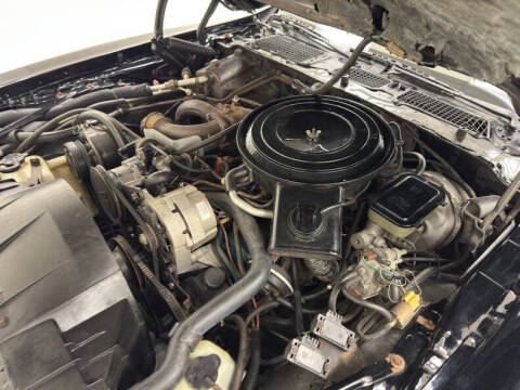 1981 Pontiac Firebird Trans Am