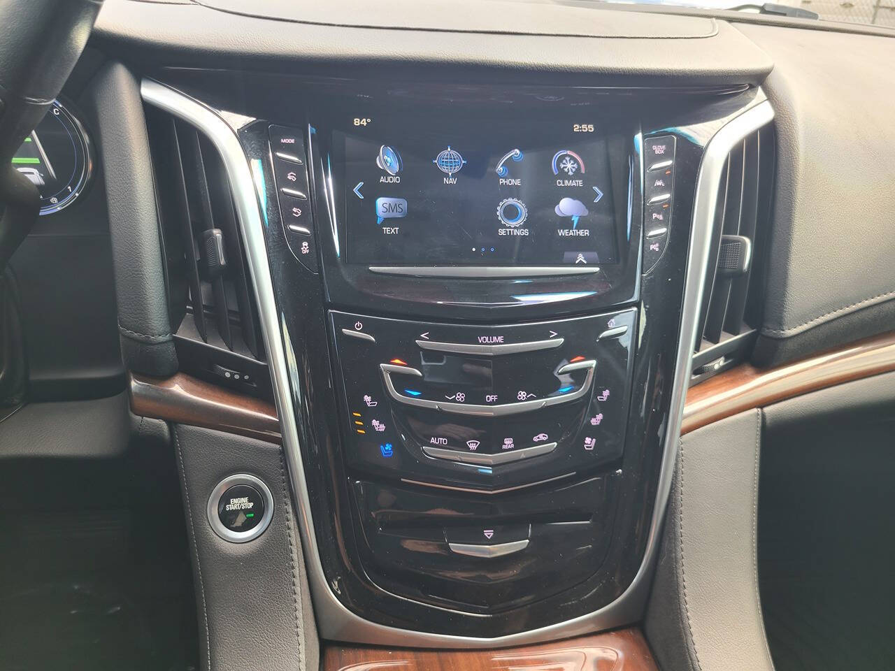 2020 Cadillac Escalade for sale at PAKK AUTOMOTIVE in Peachland, NC