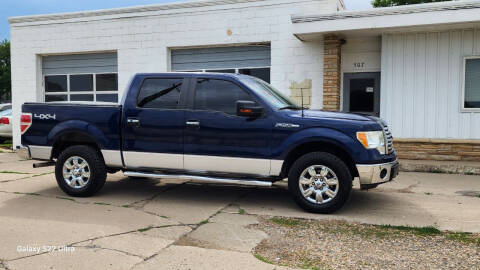 2010 Ford F-150 for sale at Liberty Auto Sales in Merrill IA