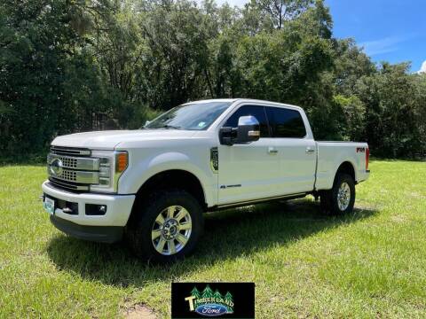 2019 Ford F-250 Super Duty for sale at TIMBERLAND FORD in Perry FL
