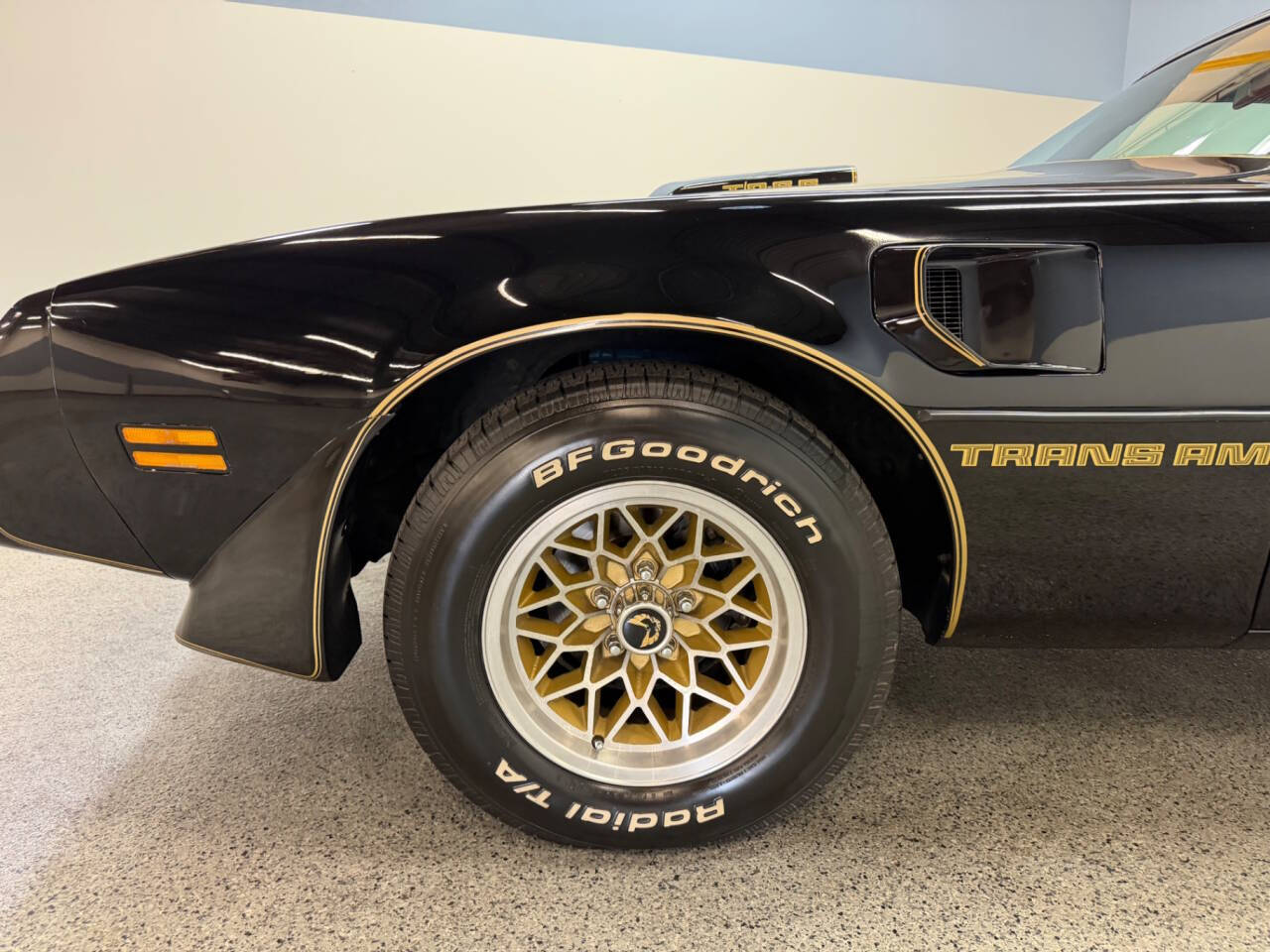 1979 Pontiac Firebird 15