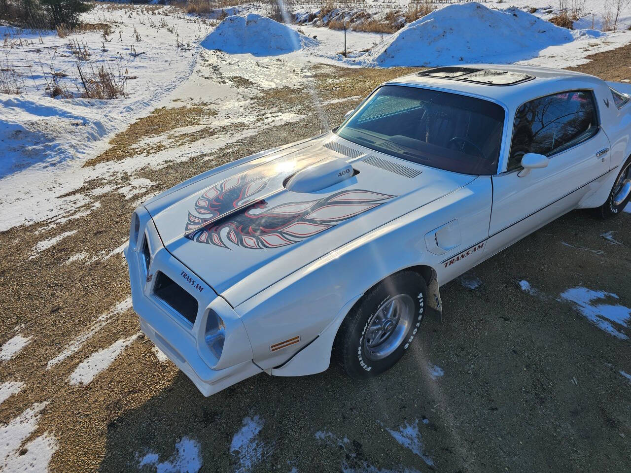 1976 Pontiac Trans Am 25