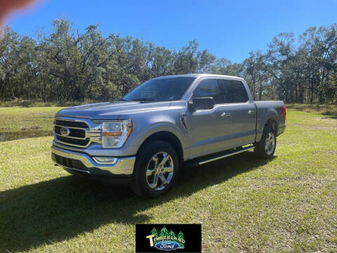 2023 Ford F-150 for sale at TIMBERLAND FORD in Perry FL
